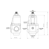 Nuke Performance - Fuel Pressure Regulator FPR100x AN-10