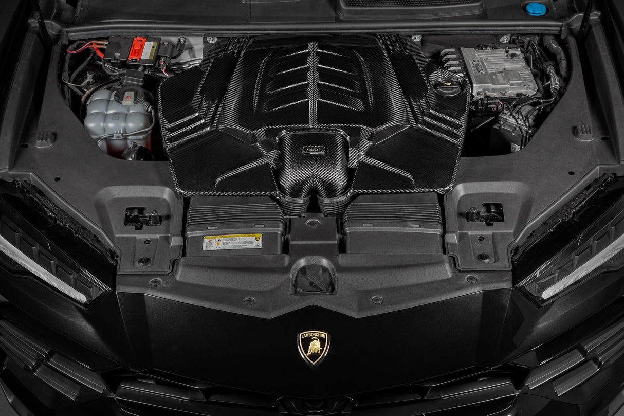EVENTURI - Carbon Ansaugsystem - AUDI RSQ8