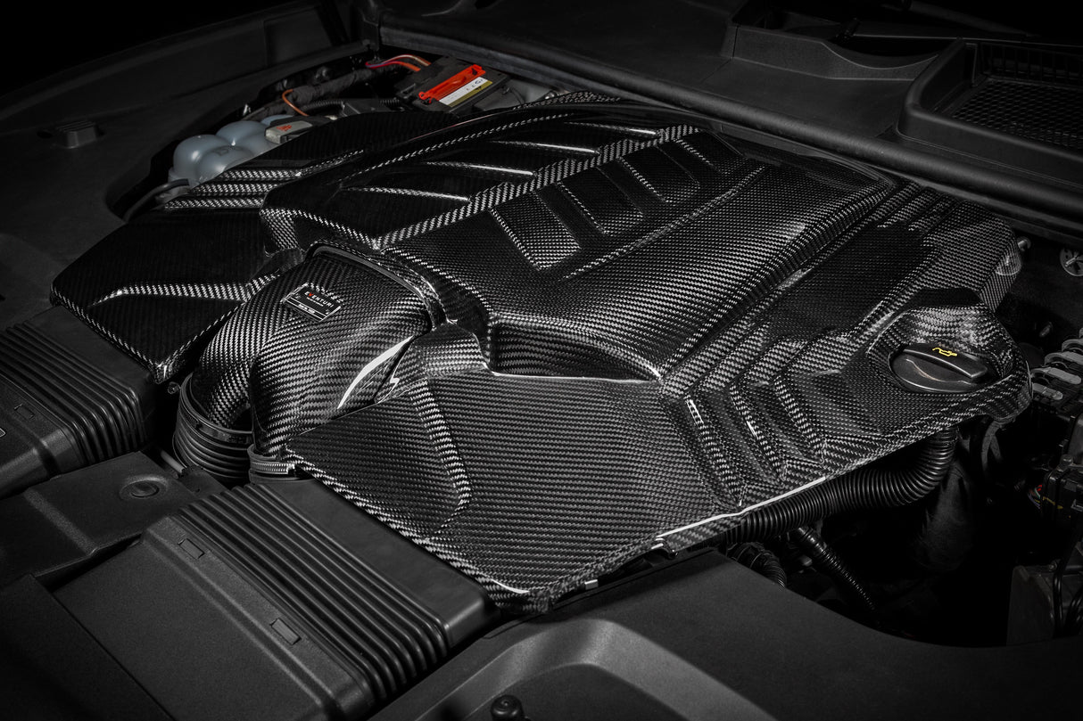 EVENTURI - Carbon Ansaugsystem - AUDI RSQ8