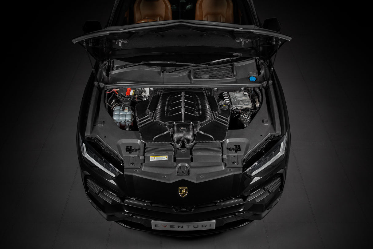 EVENTURI - Carbon Ansaugsystem - AUDI RSQ8