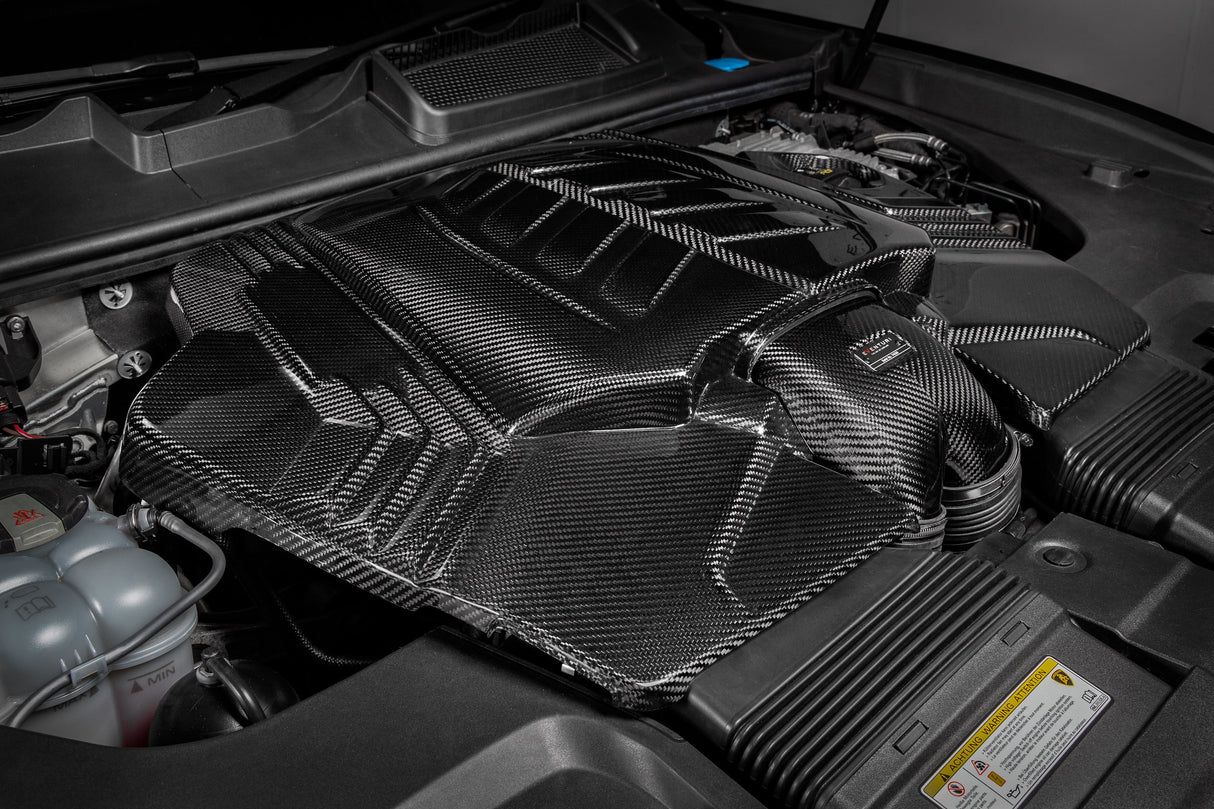 EVENTURI - Carbon Ansaugsystem - AUDI RSQ8