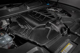 EVENTURI - Carbon Ansaugsystem - AUDI RSQ8