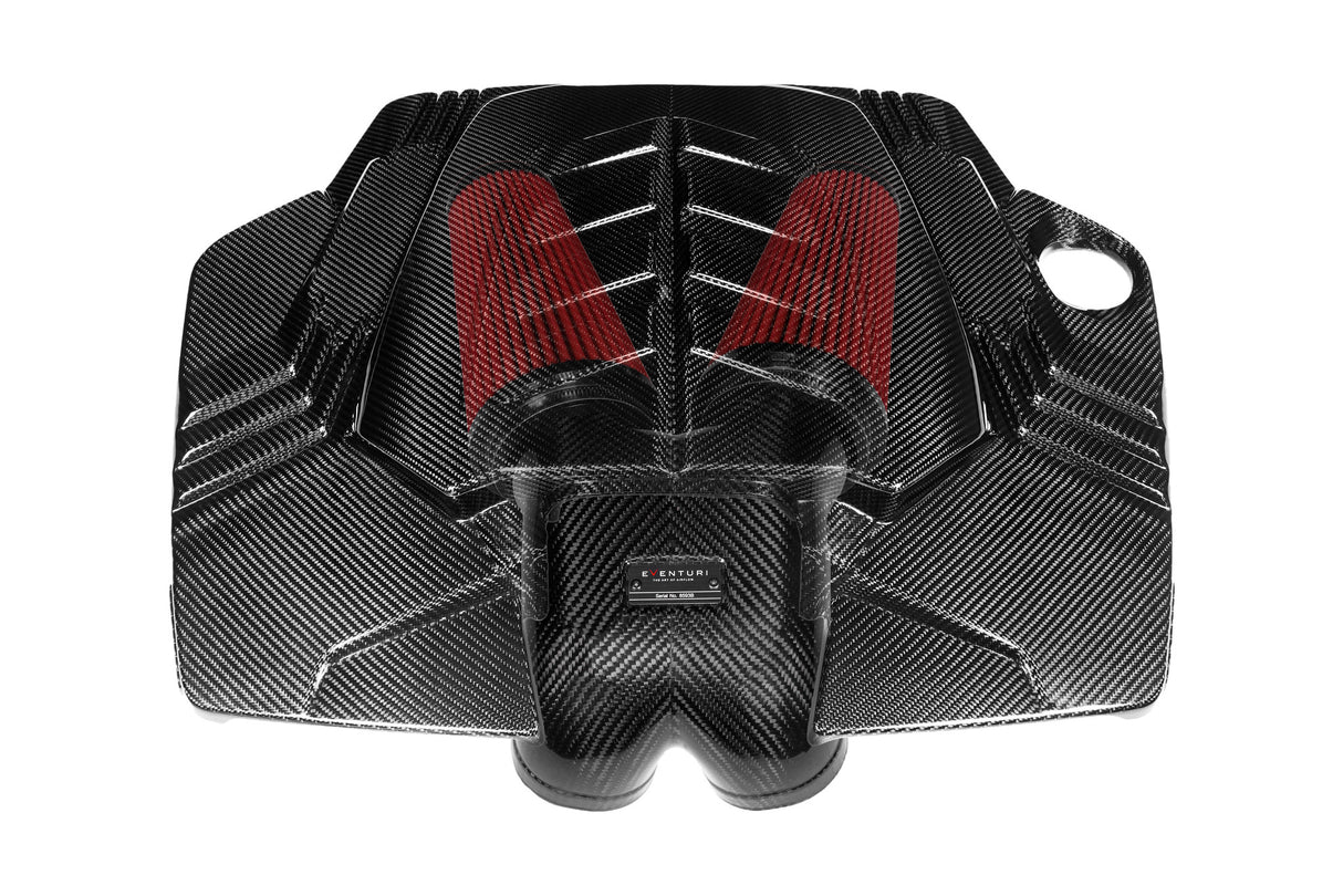 EVENTURI - Carbon Ansaugsystem - AUDI RSQ8